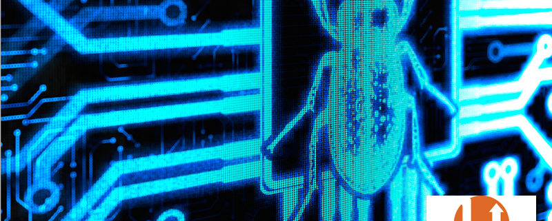 backup a wordpress site