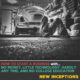 start a low budget business