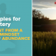 self mastery