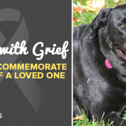 dealing with grief