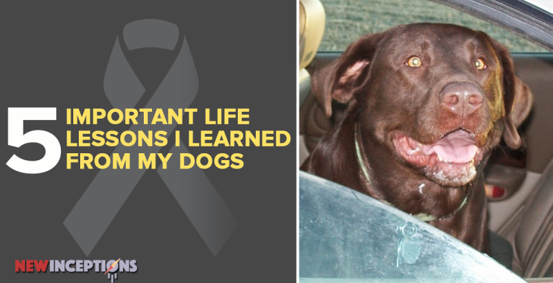 important life lessons