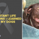 important life lessons