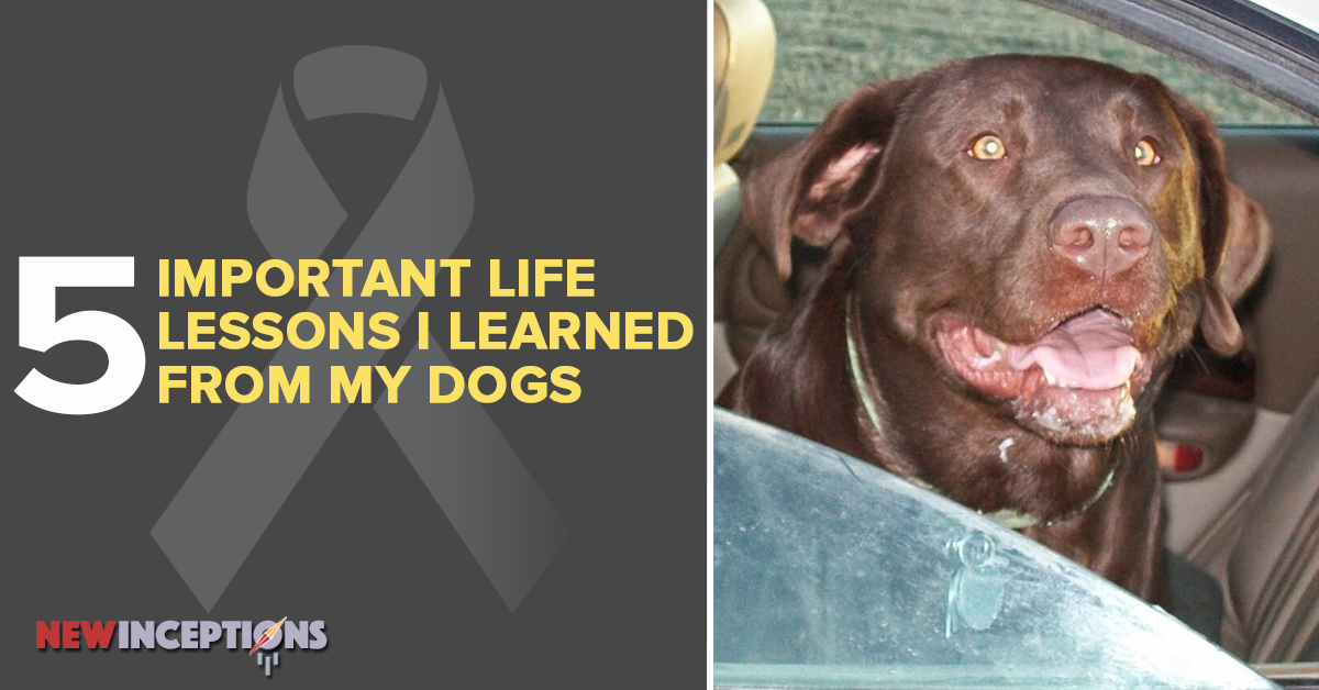 important life lessons